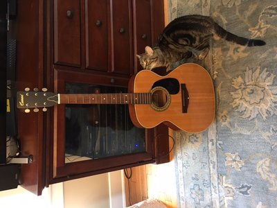 IMG_5655.JPG (114.38 KiB) Viewed 11127 times IMG_5655.JPG